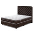 ASP Latex Sleeping Mattress